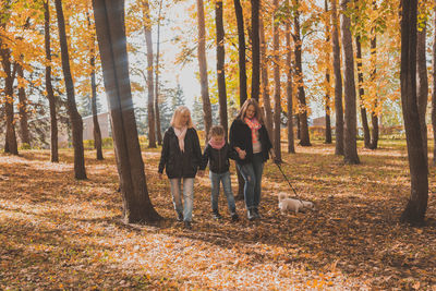 People walking in forest during autumn