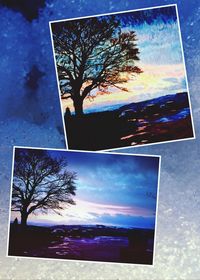 Bare trees against cloudy sky