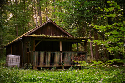 View of wooden house in forest