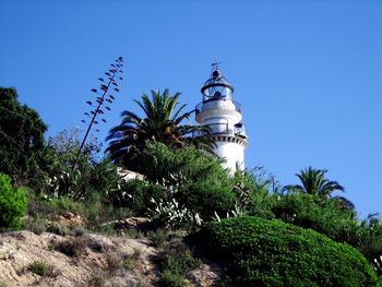 Low angle view of palm trees against blue sky