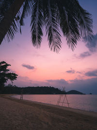 Tropical island beach sunset cloudy sky with coconut tree silhouette. koh mak island, thailand.