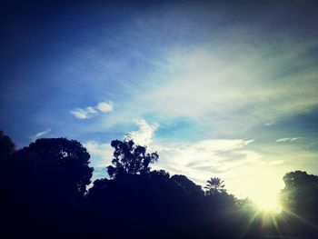 Low angle view of silhouette trees against sky