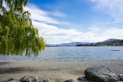 Lake wanaka with snow capped mountains in background.