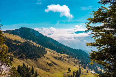 Panoramic view of landscape against sky