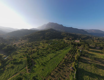 landscape
