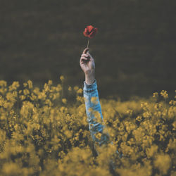 Cropped hand of person holding flower by plants
