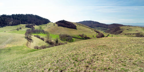 Kaiserstuhl