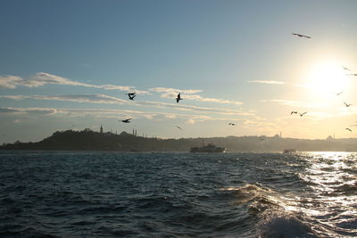 Silhouette birds flying over sea against sky during sunset