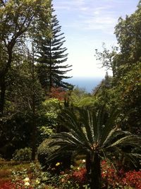 Scenic view of green landscape