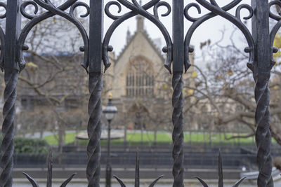 Trees seen through metal gate