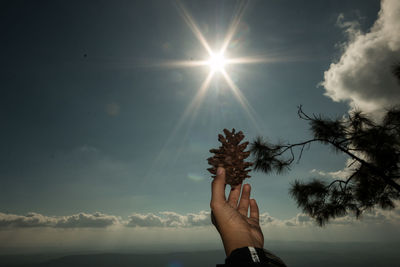 Midsection of woman against sun