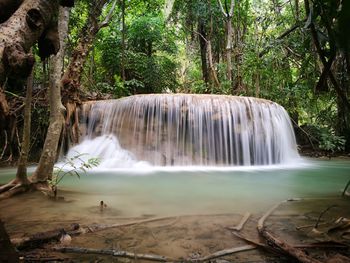 Scenic view of waterfall in forest