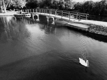 Reflection of trees in river