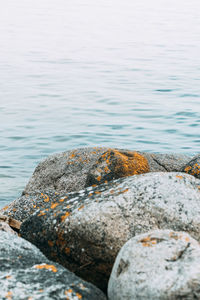 Close-up of rock by lake against sky