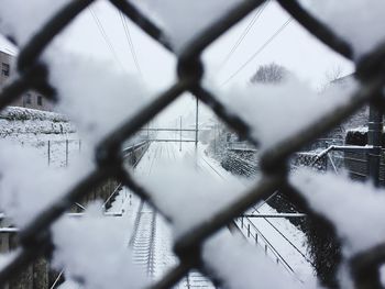 Close-up of snow covered chainlink fence