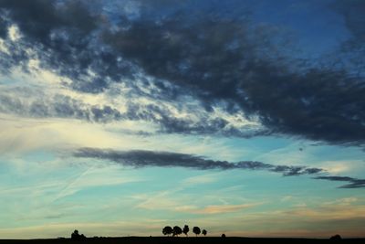 Low angle view of trees against sky during sunset
