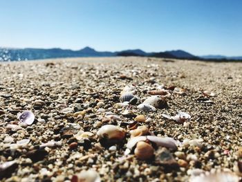 Close-up of stones on beach against sky