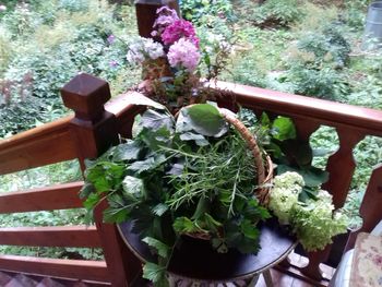 High angle view of potted plants