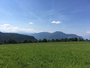 Scenic view of field against sky