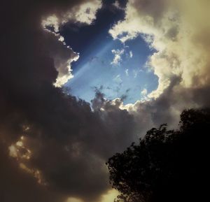 Low angle view of silhouette trees against sky