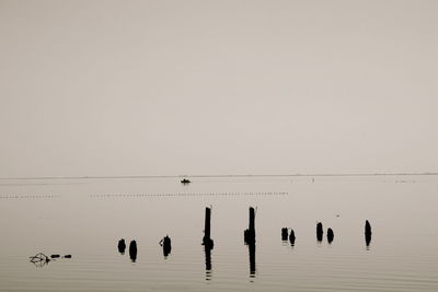 Bird flying over calm lake