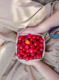 High angle view of woman holding strawberries