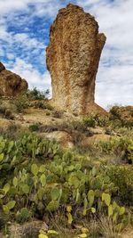 Scenic view of rocks on field against sky