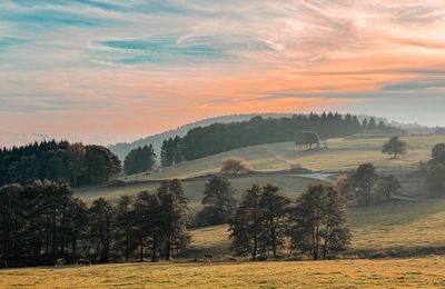 Idyllic landscape like an oil painting blue sky soft pink tones over autumn landscape fields trees