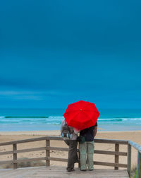 Rear view of person standing on beach