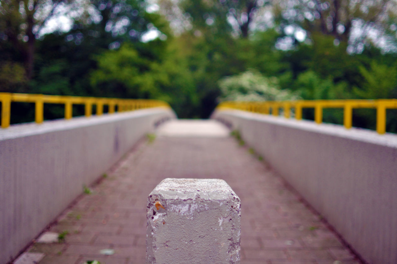 tree, the way forward, transportation, diminishing perspective, focus on foreground, surface level, selective focus, railroad track, vanishing point, close-up, day, road, nature, outdoors, no people, tranquility, rail transportation, wood - material, railing, season