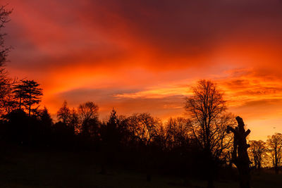 Silhouette man standing by trees against orange sky