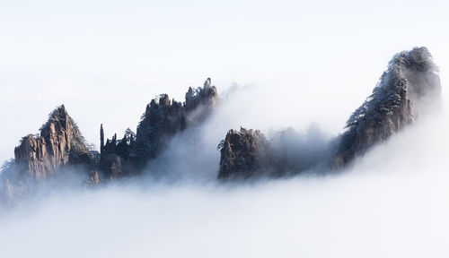 Panoramic shot of trees on land against sky during winter