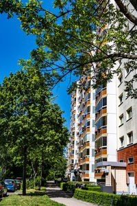 Low angle view of tree by building against sky