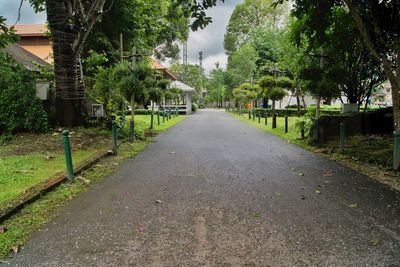 Road amidst trees in city against sky