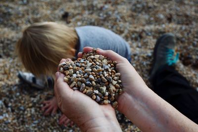 Cropped hands of child holding pebbles while baby boy playing at beach