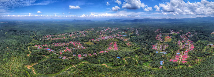 High angle view of plants and land against sky