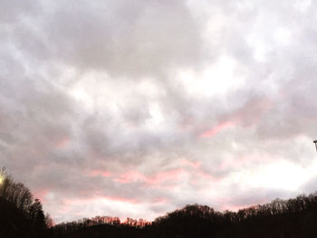 Low angle view of silhouette trees against sky