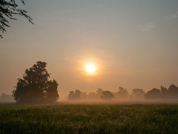 Scenic view of field against sky during sunset