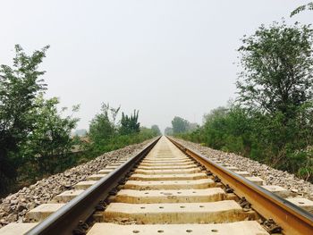 Surface level of railway tracks along plants