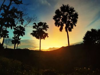 Silhouette palm trees against sky during sunset