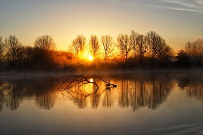 Silhouette trees by lake against sky during sunrise