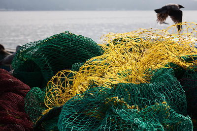 Close-up of fishing nets at harbor