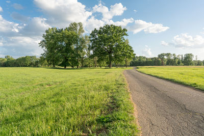 Scenic view of trees on field against sky