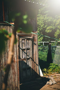 Graffiti on stone wall by lake in forest