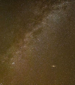 Low angle view of star field against sky at night