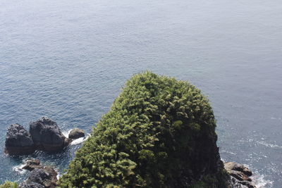 High angle view of rocks by sea