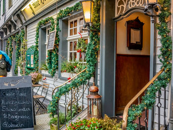 Potted plants outside building