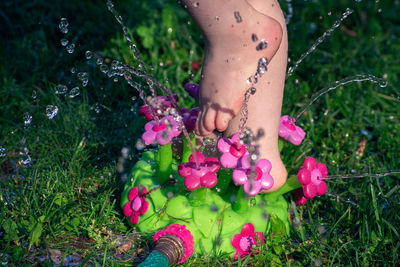 Close-up of hand on purple flowering plants in field