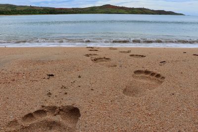 Footprints on sand at beach