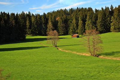 Blurred of nature landscape of mountain, pine forest and green field above a village in switzerland.